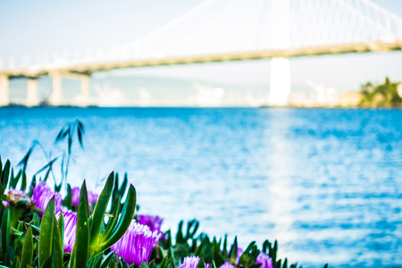 boat marina near new oakland bay bridge leading to oakland californiaの写真素材