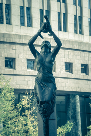 Charlotte North carolina cityscape during autumn seasonの写真素材