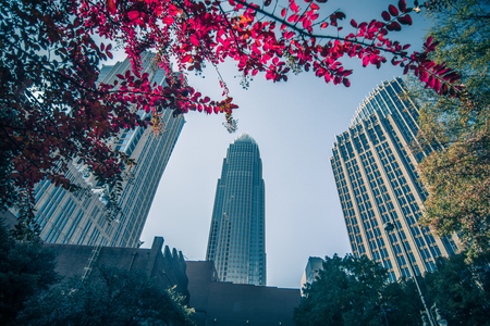 aututmn season in charlotte north carolinaの写真素材