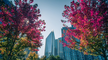 aututmn season in charlotte north carolina