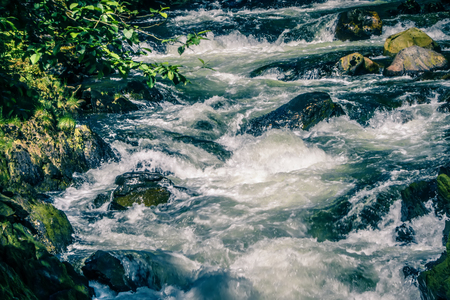 Salmon hatchery creek in mountains of Alaskaの写真素材