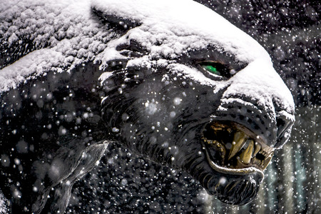black panther statue seen through falling snow flakesの写真素材