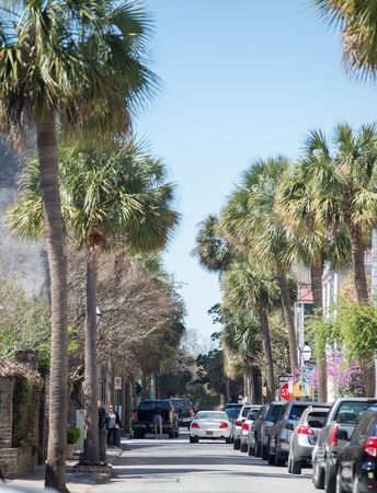 historic charleston south carolina downtown and architetural detailsのeditorial素材