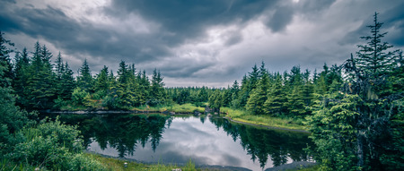 scenery around mendenhall glacier park in juneau alaskaの写真素材