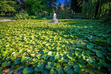 City of victoria british columbia in juneの写真素材