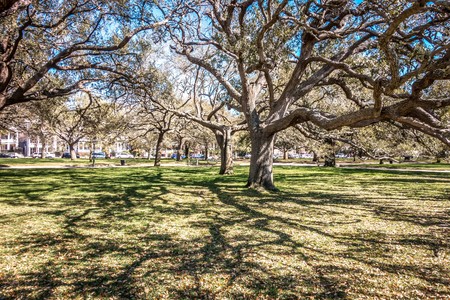 Charleston south carolina historic architecture