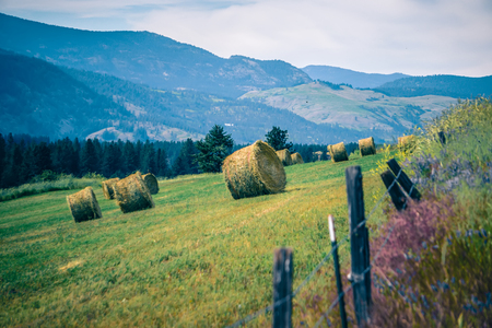nature and landscapes in spokane reservation near spokane columbia  riverの写真素材