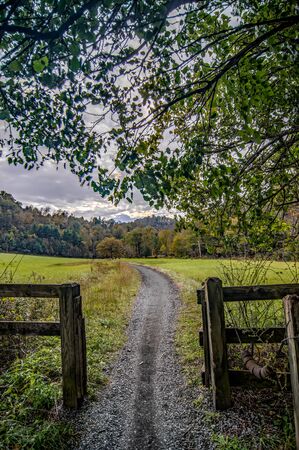Scenic views along virginia creeper trailの写真素材
