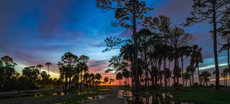 beautiful nature on hunting island south carolinaの写真素材