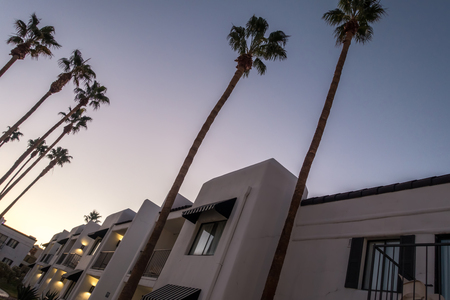 early morning with sunrise at hotel and palm treesのeditorial素材