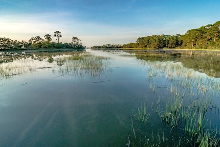 Hunting island south carolina beach scenesの写真素材
