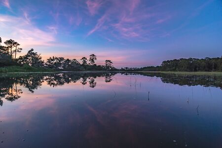 Hunting island south carolina beach scenesの写真素材