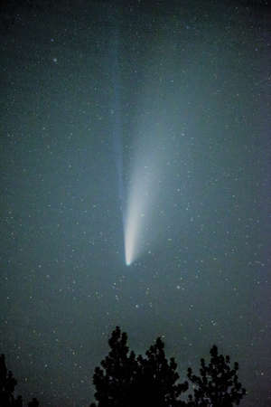 view of comet neowise in the night sky