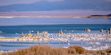 scenery around mono lake in californiaの写真素材