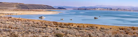 scenery around mono lake in californiaの写真素材