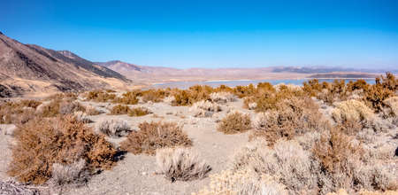 Beautiful Mono Lake in California near Lee Vinin