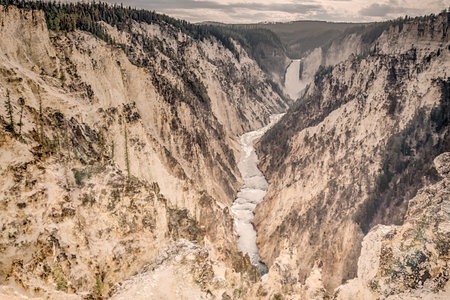 Lower falls of the yellowstone national park from artist point at sunset, wyoming in the usaの素材 [FY310163578219]