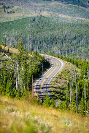 scenery at Mt Washburn trail in Yellowstone National Park, Wyoming, USAの写真素材