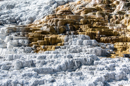 beautiful scenery at mammoth hot spring in yellowstoneの写真素材