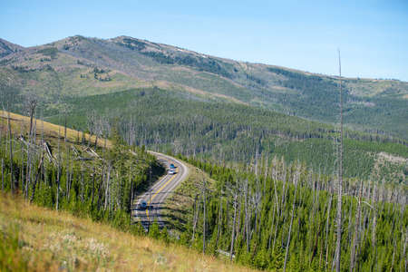 scenery at Mt Washburn trail in Yellowstone National Park, Wyoming, USAの写真素材