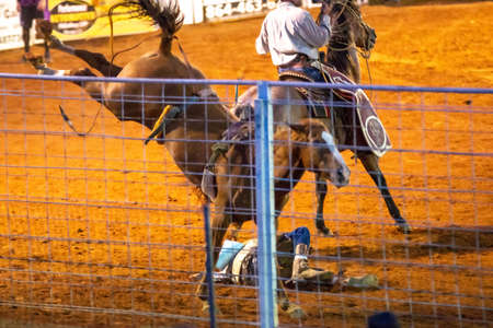 cowboy rodeo championship in the evening