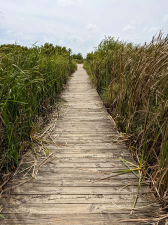 quiet boardwalk path to the beachの写真素材