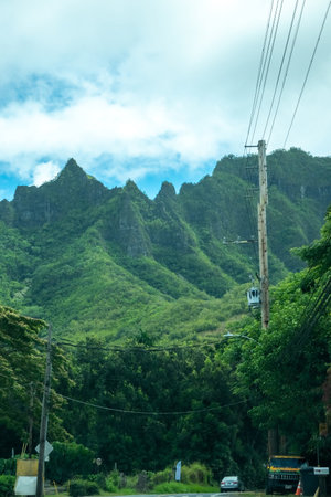 street scenes on island of oahu hawaiiの写真素材