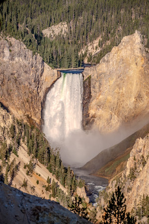 Lower Falls in Yellowstone Grand Canyon seen from Artist Point. Yellowstone National Park, Wyoming, USAの写真素材