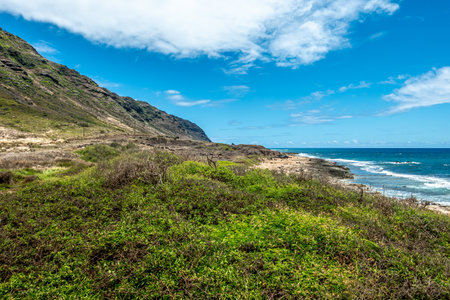 oahu island in hawaii northshore ocean scenesの写真素材