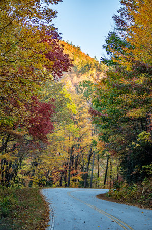 Autumn roads in Pisgah National Forest, North Carolina, USA.の写真素材