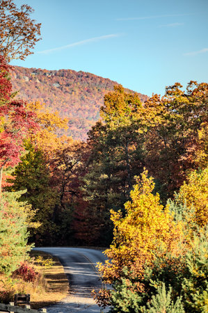 Autumn roads in Pisgah National Forest, North Carolina, USA.の写真素材