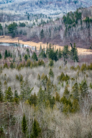 virginia beach cityscape before sunsetの写真素材