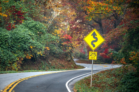 Autumn roads in Pisgah National Forest, North Carolina, USA.の写真素材