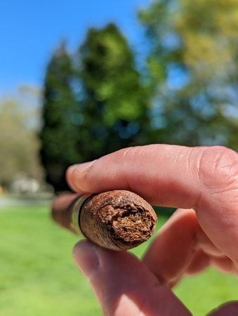 Detail of the hand of a smoking man holding a burning cigar in a garden with a blurred backgroundの写真素材