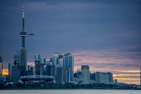 city of toronto skyline and street viewsの写真素材