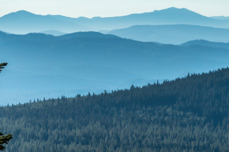 Shasta-Trinity National Forest  and landscapesの写真素材