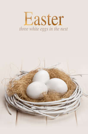 Easter white eggs in the nestの写真素材