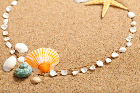 Shells