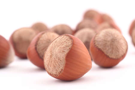 Hazelnuts on white background