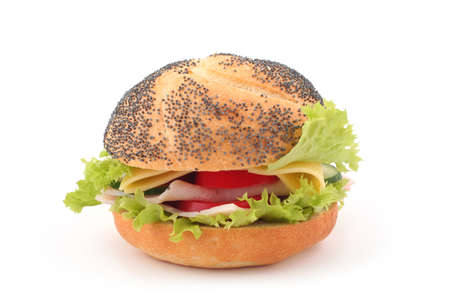 Delicious sandwich on white background