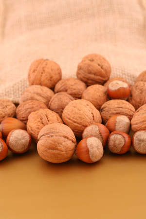Nuts on canvas and gold background