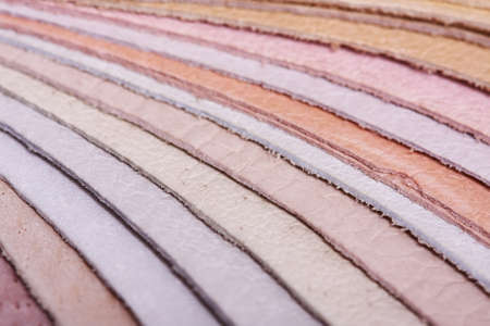 Leather samples close up