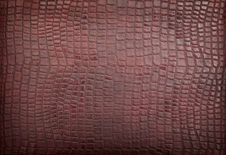 Leather backgroundの写真素材