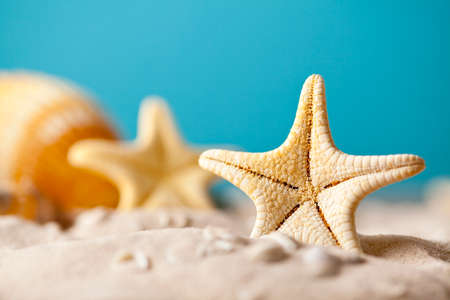 Starfish on sand and blue backgroundの写真素材