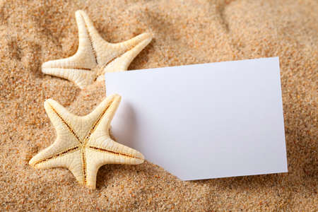 Starfish and blank paper sheet on beachの写真素材