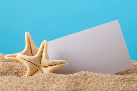 Starfish and blank paper sheet on beachの写真素材