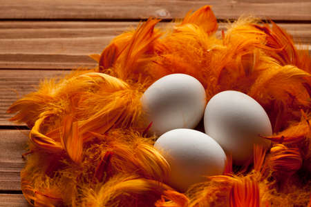 White eggs and feathers on wooden boardsの写真素材