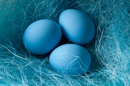 Three blue Easter eggs in the nestの写真素材