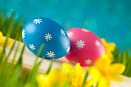Colored Easter eggs on blue background