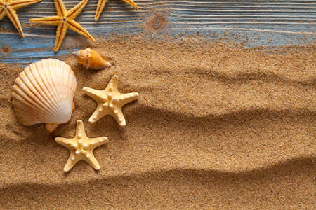 Shells on sand and planksの写真素材